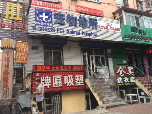 国际畜犬联盟宠物诊所