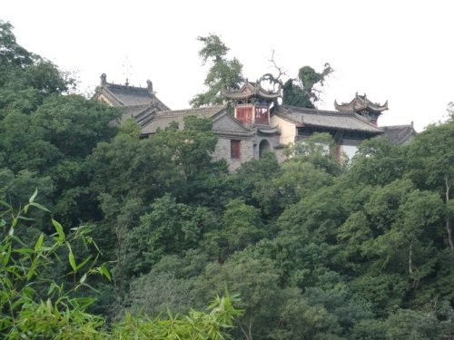楼观台森林公园
