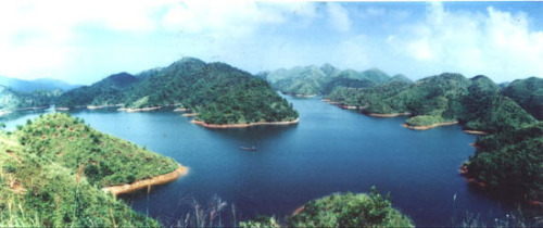高定村