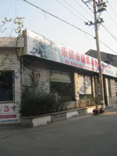乐清市康乐动物诊所