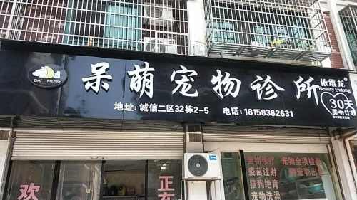 呆萌宠物诊所