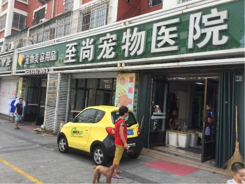 至尚东部宠物医院(利津路店)