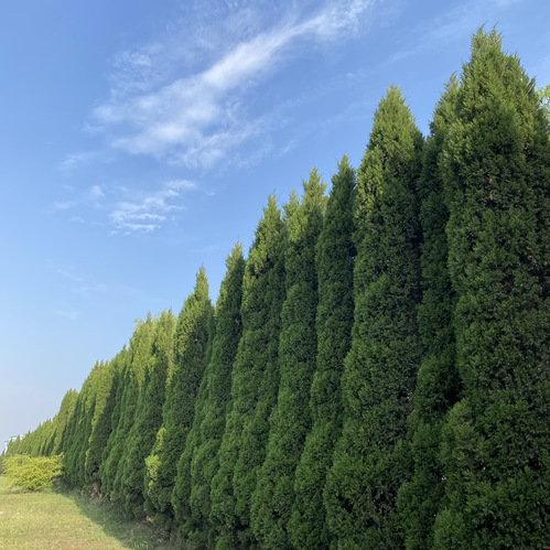 保丰沟竹海景区