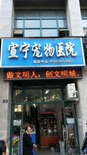 宣宁宠物医院