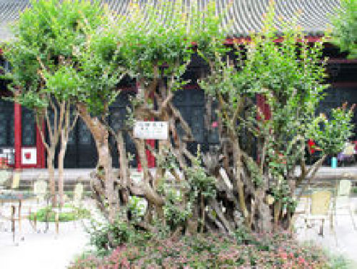 百花潭公园
