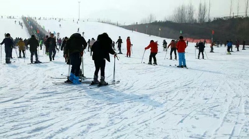 四季生态园-滑雪场(暂停营业)的第3张图片的图片资料