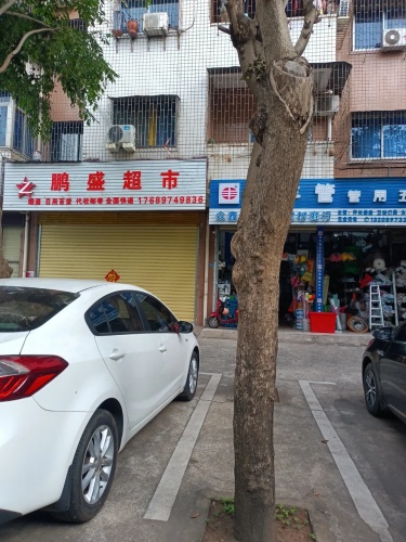 鹏盛超市(二轻花园店)