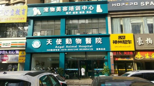 河南天使动物医院