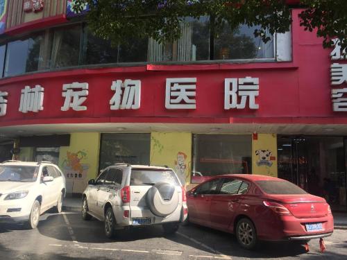 杏林动物医院