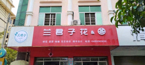 兰君子花与茶