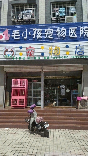 毛小孩宠物医院