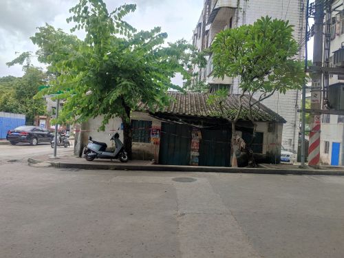 琼中营根百绿园副食店