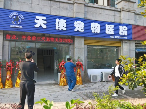 天使宠物医院