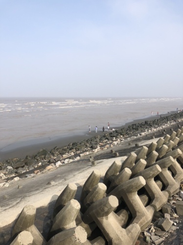 黄金海滩景区-湿地迷宫