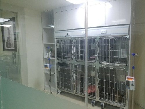 约定宠物医院(利民街店)