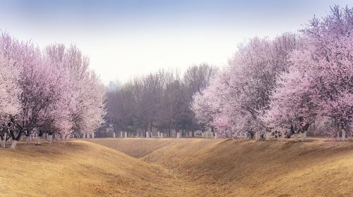 春季