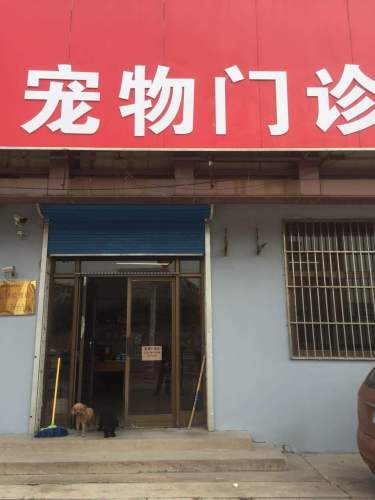 胥各庄手艺站宠物门诊