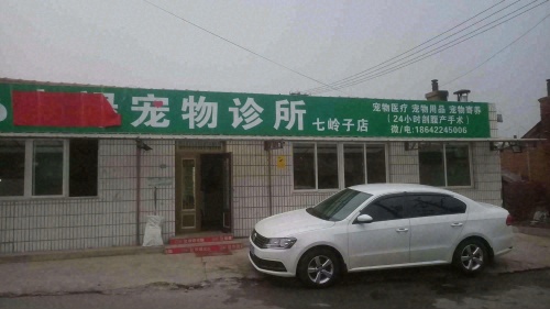 康禄宠物诊所