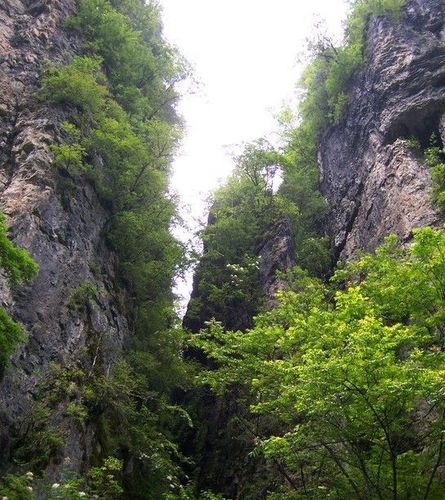 神农架红坪景区