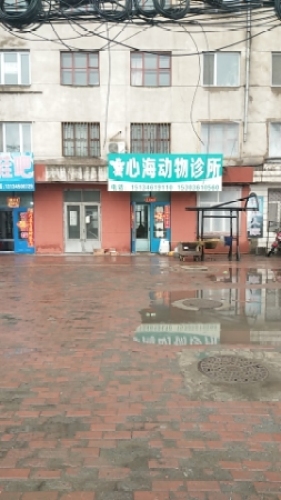 心海动物诊所