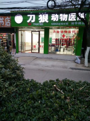 力狼动物诊所