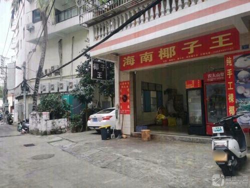 海南椰子王