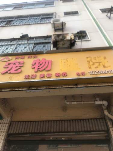 阿猫阿狗宠物医院