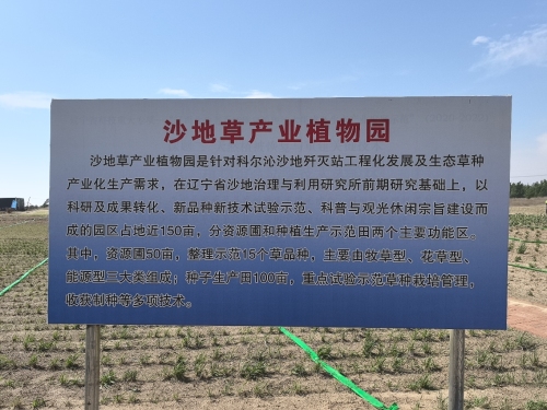 彰武沙地草产业植物园
