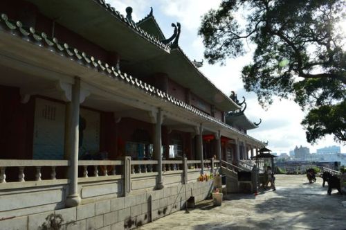东山寺[广东省阳江市东山寺]
