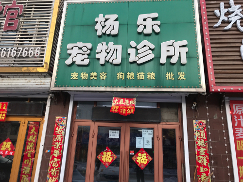 杨乐宠物诊所