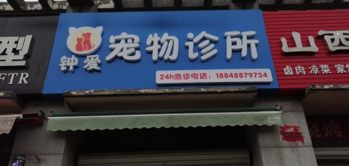 钟爱宠物诊所