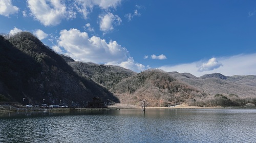 月坝生态康养旅游小镇