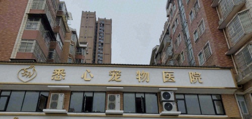 湖南悉心宠物医院