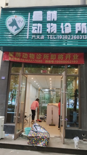 星萌动物诊所