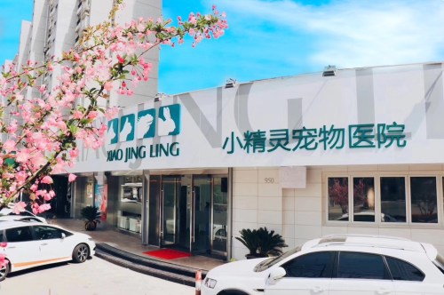 24小时小精灵宠物医院(浦东店)