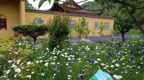 五华山隐静禅寺风景区