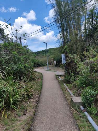 Pak Tam Chung Picnic Garden