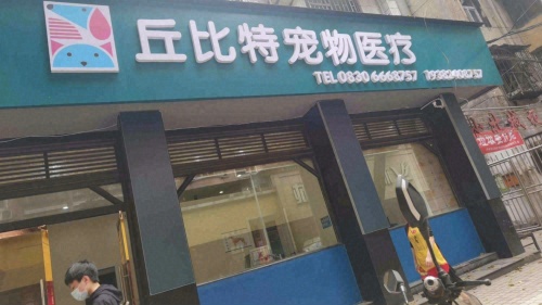 丘比特宠物医疗