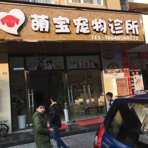 萌宝宠物诊所