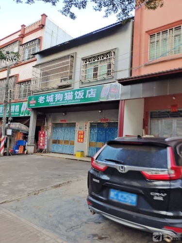 老城狗猫饭店