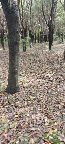 梁鸿国家湿地公园