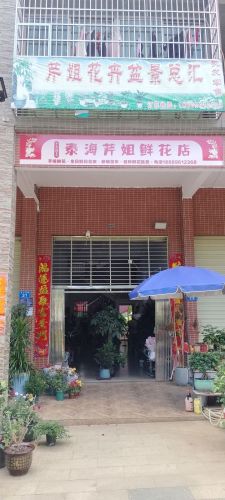 白沙芹姐花卉盆景总汇(泰海峰景名城店)