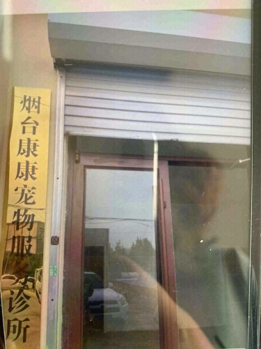 烟台康康宠物服务诊所