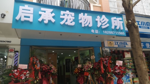 启承宠物诊所