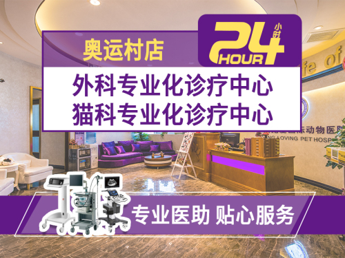 宠爱国际动物医院(24h奥运村店)