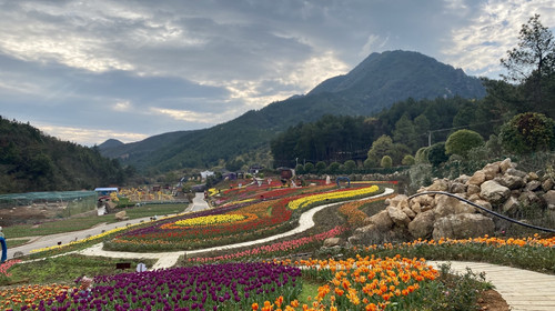 茶乡花海景区