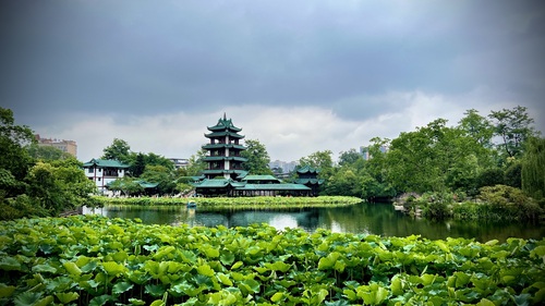 宝光桂湖文化旅游区桂湖森林广场