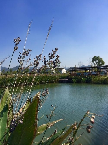 东钱湖风景名胜区-下水湿地公园