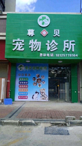 尊贝宠物诊所