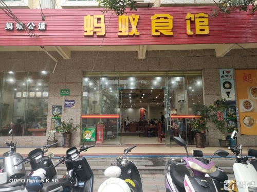 蚂蚁食馆